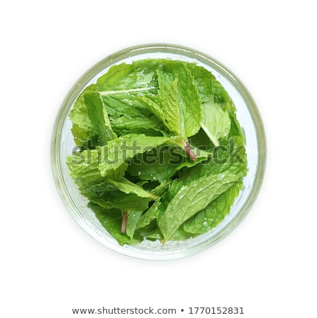 Stockfoto: Peppermint Leaves From Above Paths