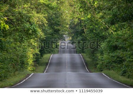 Foto stock: Wavy Road In The Countryside