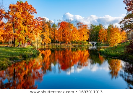 Foto stock: Fall Foliage