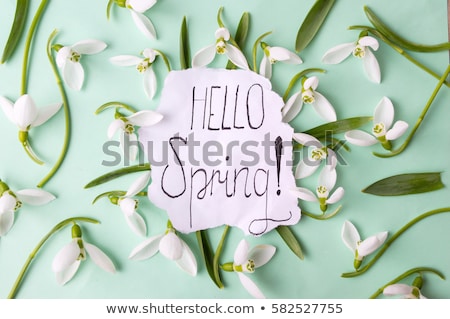 Stock photo: Messengers Of Spring