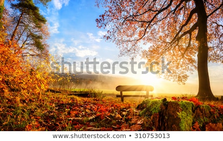Rural Autumnal Landscape Foto stock © Smileus