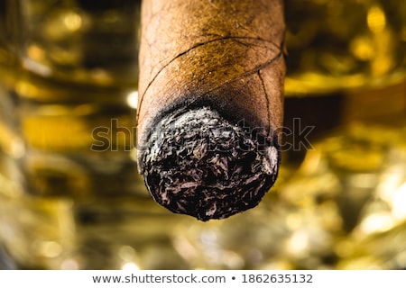 Foto d'archivio: Burning Cigar