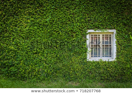 Stok fotoğraf: Vintage Wood House With Green Leaf Fence