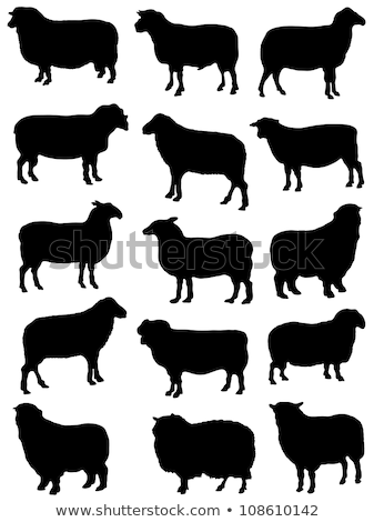 Foto stock: Sheep Stall