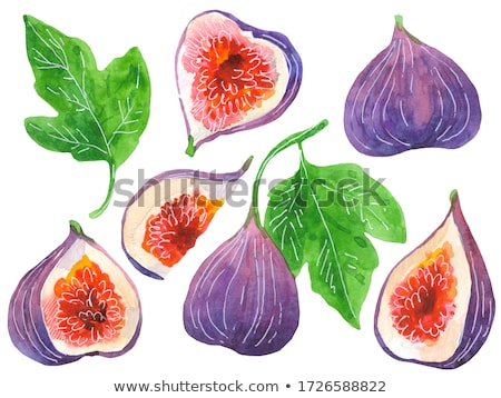 Stock fotó: Fresh Organic Common Fig