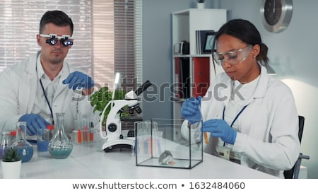 ストックフォト: Making Observation In Laboratory