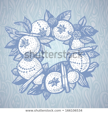 Stock foto: Frosted Evergreen Christmas Or Winter Wreath