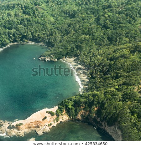 Stock photo: Aerial Of Jungle Coast And Ocean In Dominica