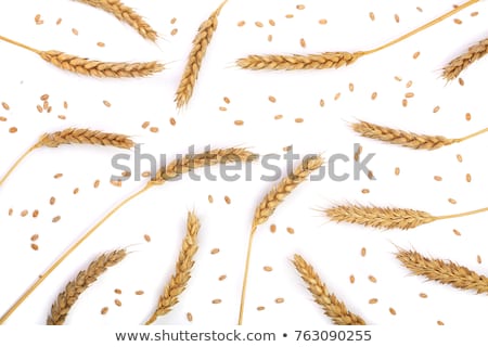 Foto stock: Rnamento · de · espigas · de · trigo