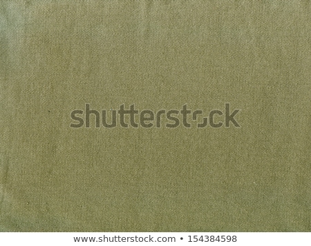 ストックフォト: Khaki Canvas Background