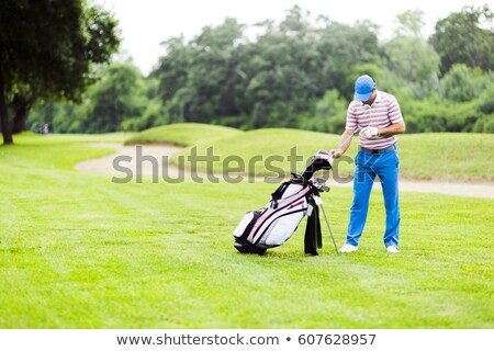 Stok fotoğraf: Golfer Selecting Appropriate Club