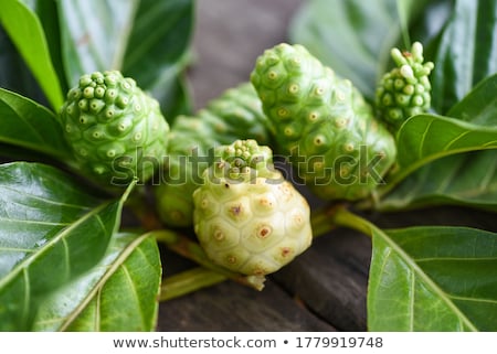 Stok fotoğraf: Noni And Noni Juice On Wooden Backgroundjuice For Health Or Fruit For Health Or Herb For Healthout