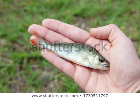 Foto stock: Big Hand Baiting Love Man