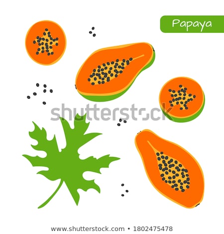 [[stock_photo]]: Papaya Exotic Fruit Vector Isolated Papaw Pawpaw