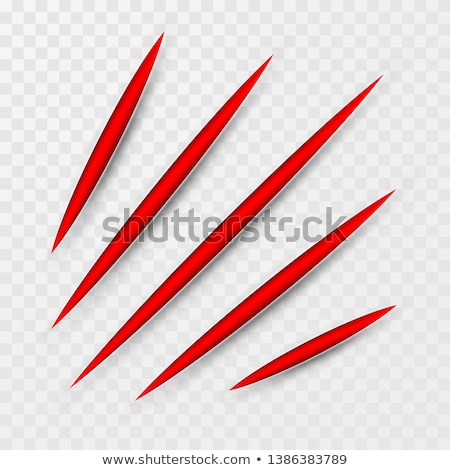 Foto d'archivio: Red Scratch Set Claws Scratching Animal Scrape Track Vector Illustration