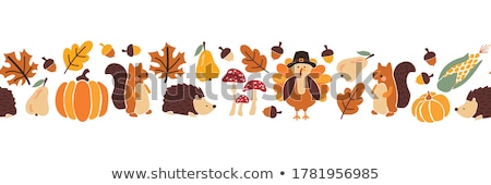 Stok fotoğraf: Autumn Harvest And Thanksgiving Day Poster Design