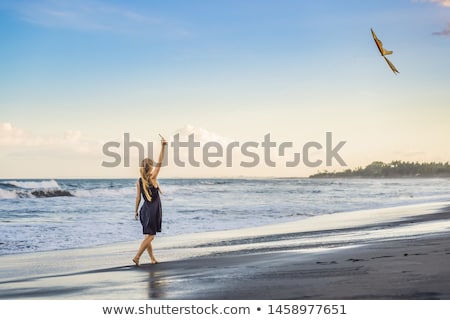 Stockfoto: A Young Woman Launches A Kite On The Beach Dream Aspirations Future Plans Banner Long Format