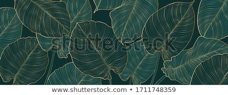 Stock fotó: Jungle Pattern Green Abstract Textured Vector Background