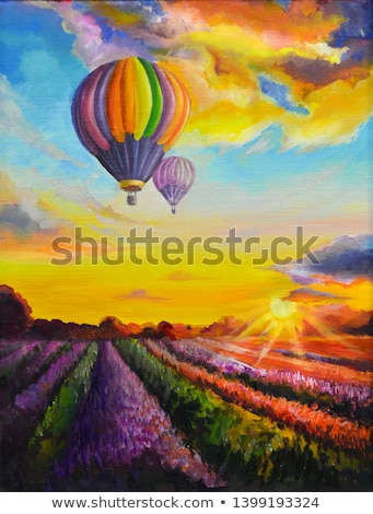 Сток-фото: Stunning Lavender Field Landscape Summer Sunset With Hot Air Bal