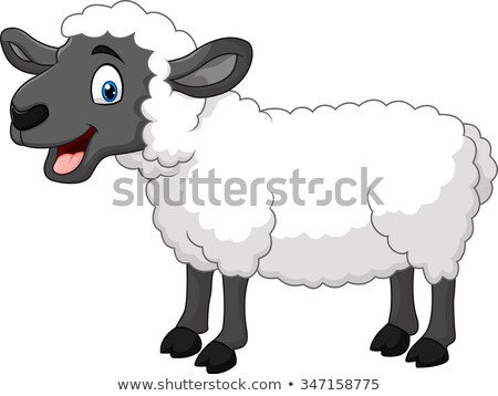 Сток-фото: Smiling Sheep Cartoon