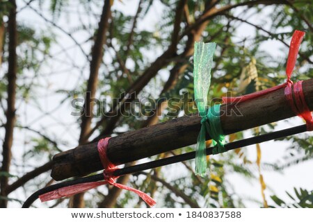 Foto stock: Footbridge And Wood Door