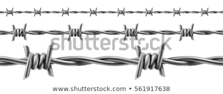 Stock photo: Barbed Wire