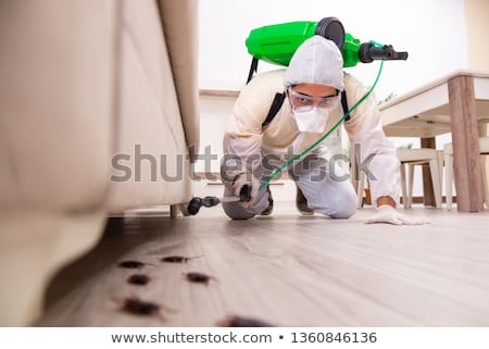 Stockfoto: Cockroach Invasion