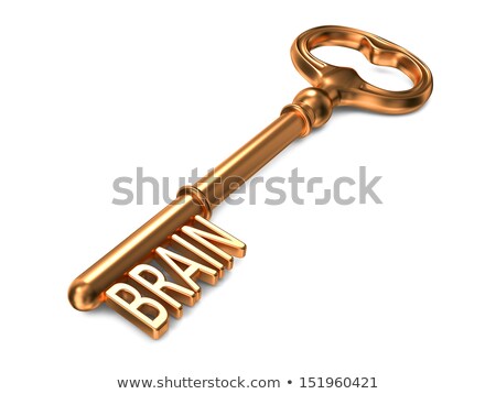 Stock foto: Brain - Golden Key