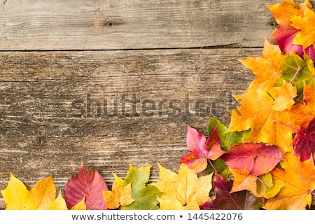 Stock foto: Bright Autumn Leaves On The Old Grunge Wooden Background