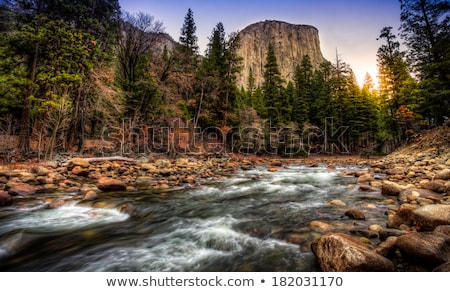 Foto d'archivio: River In The Forest - Hdr