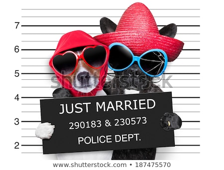 Stock foto: Just Married Mugshot