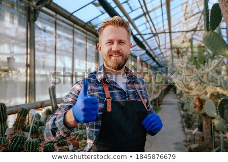 Foto d'archivio: Attractive Woman Potting Up Houseplants In Spring