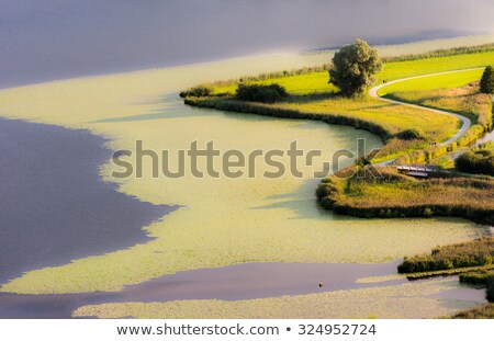 Swampland At Lake Hopfensee Zdjęcia stock © manfredxy