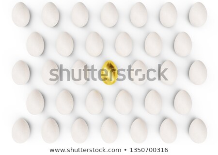 Stok fotoğraf: The Golden Egg In Center