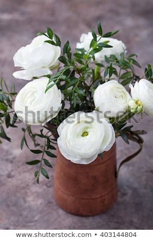 ストックフォト: White Ranunculus Flowers In A Cooper Vintage Jug Brown Background Copy Space