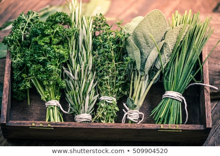 Foto stock: Various Fresh Herbs Rosemary Thyme Mint And Sage On Wooden Background