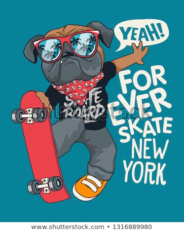 Zdjęcia stock: Skater Dog On Skateboard