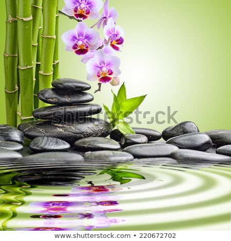 Zdjęcia stock: Pink Orchid And Zen Stones