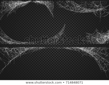 Stockfoto: Happy Halloween Set Transparent Background