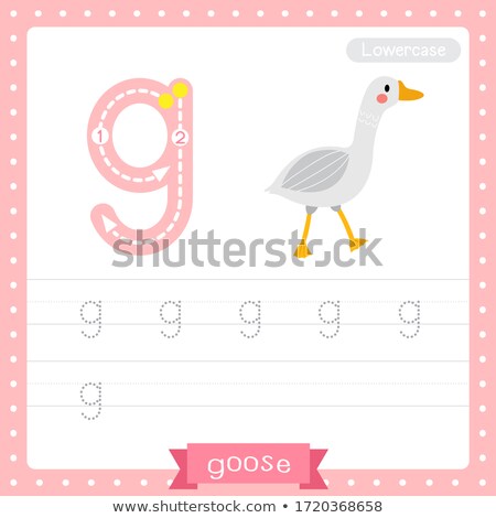 Stockfoto: Letter G For Goose Cartoon Alphabet For Children