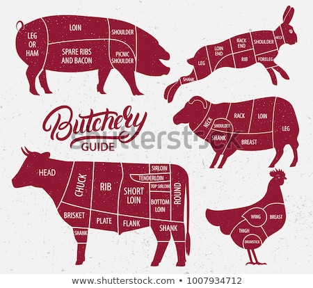 ストックフォト: Cuts Of Beef Poster Butcher Diagram Cow Silhouette Isolated Meat Cuts Beef Cutting Scheme Vecto