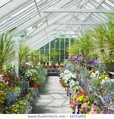 Foto d'archivio: Greenhouse Birr Castle Gardens County Offaly Ireland