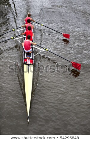 [[stock_photo]]: Oxed · quatre · d'en · haut