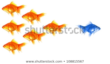 Сток-фото: Individual Goldfish