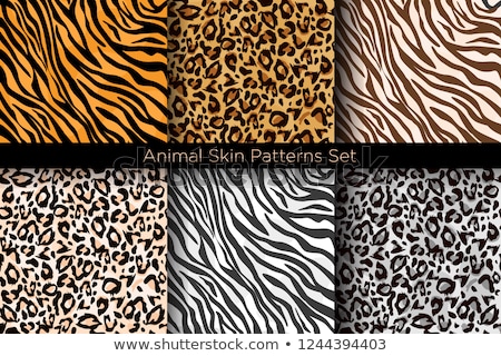 Stok fotoğraf: Seamless Animal Skin Texture Fabric Set