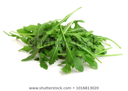 Foto d'archivio: Arugula