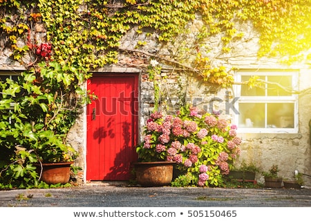 ストックフォト: Red Door