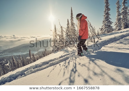 Stok fotoğraf: Snowboard In Winter