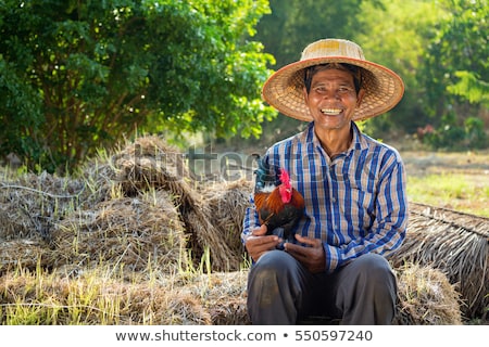Сток-фото: Young Asian Farmer Holding Hay In Hands