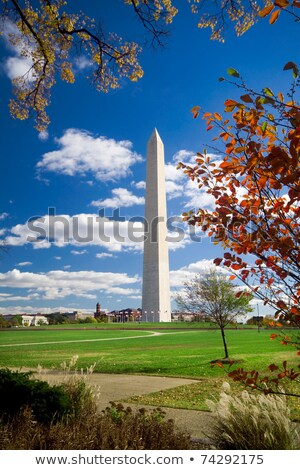 Stockfoto: Ashington · Monument · Herfst · Ingelijste · Bladeren · Blauwe · Lucht